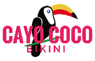 Party Love Sticker by Cayococobikini