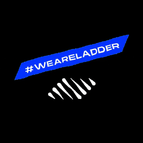 LADDER GIF