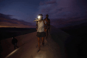 GIF by Gregory Packs