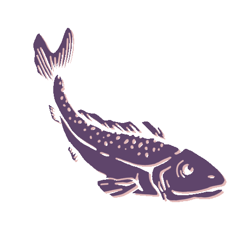 Tigre Morado Sticker