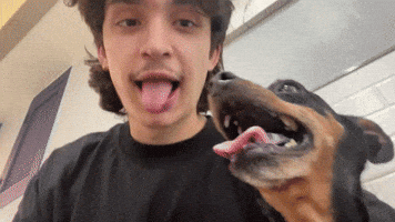Dog GIF