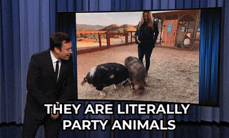 Partying Jimmy Fallon GIF by The Tonight Show Starring Jimmy Fallon