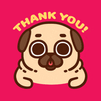 Dogs Thank You GIF by Puglie Pug