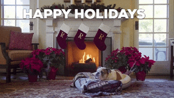 Southern California Christmas GIF by University of Redlands