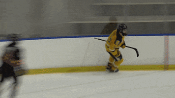 Excited Lets Go GIF by Canisius Athletics