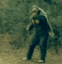 GIF GIF