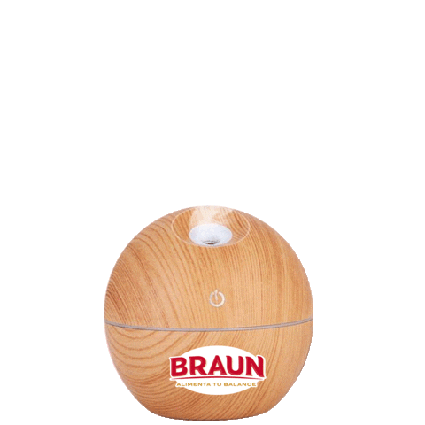 BraunEc Sticker