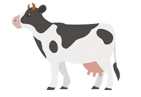 Sun Pays Sticker by Friesland Campina