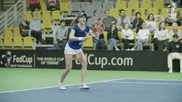 Winning France GIF by Fed Cup by BNP Paribas