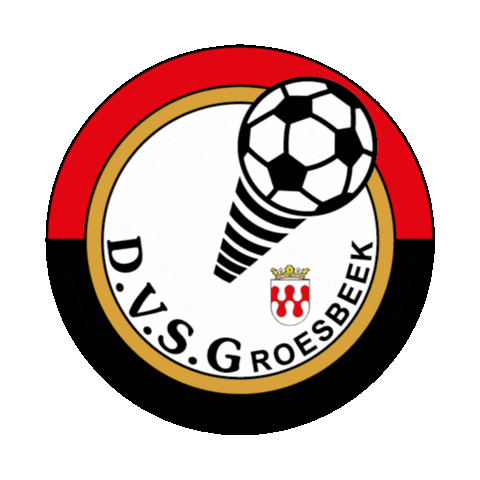 DVSG Sticker