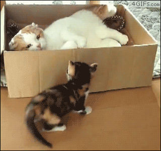 box