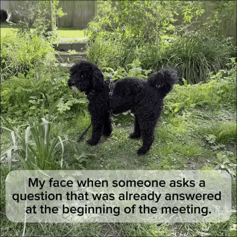 Question Troubleshooting GIF
