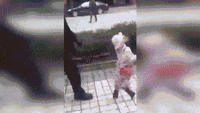 200w.gif