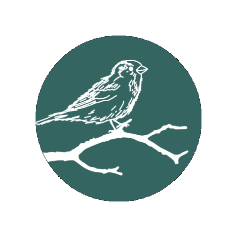 baumspatz Sticker