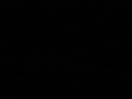 Asker GIF