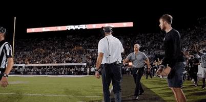 Football Touch Down GIF by UCF Knights