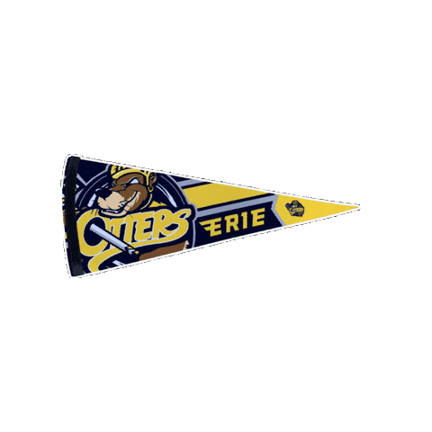 Hockey Pennant Sticker by OttersHockey