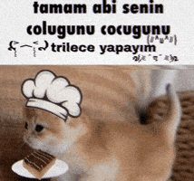 Tr GIF