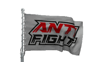Anti Fight - Spor Mimarisi Hizmetleri Sticker