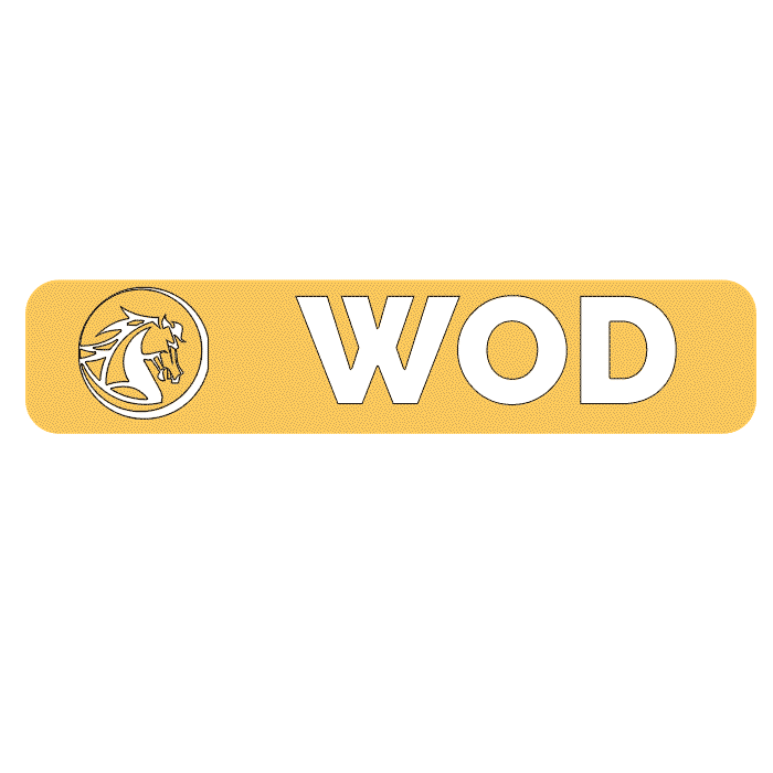 Training Norte Sticker
