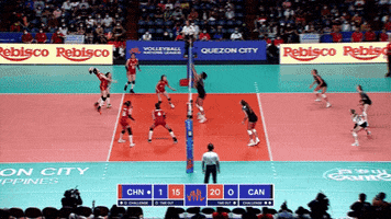 Canadian Party GIF by Volleyball World