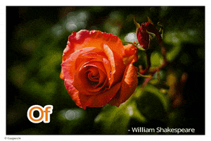William Shakespeare Flower GIF