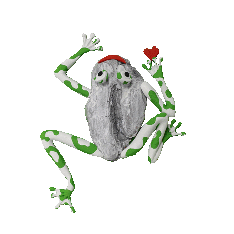 Imaginariabinefar Sticker by Festival Imaginaria