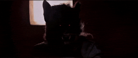 Cantina Anewhope GIF