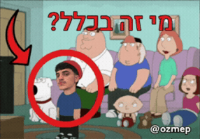 Who Is This Lifestyle GIF