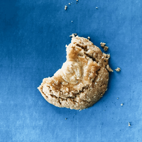 GIF by Song Tea & Ceramics