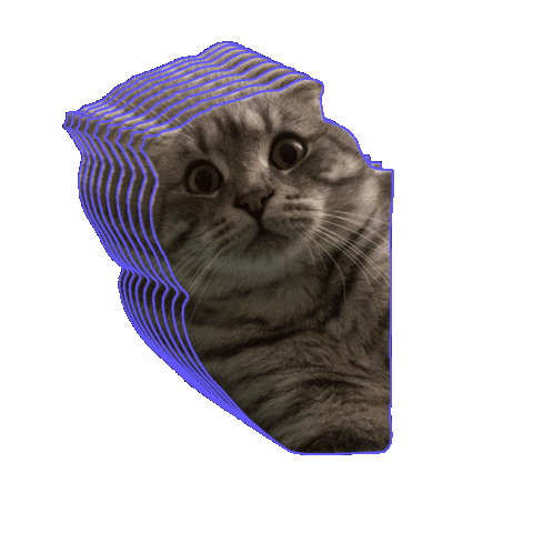 Ferhat Şaşkın Sticker