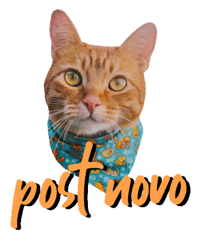 Romeu, Malelo & Dalila Sticker