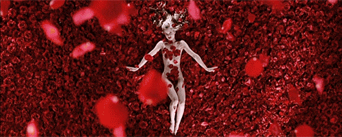 american beauty wow GIF