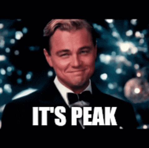 Leonardo Dicaprio Cheers GIF