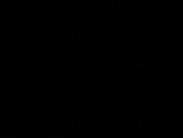 Arizona Wildcats Football GIF by Arizona Athletics