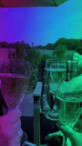 Party Cheers GIF