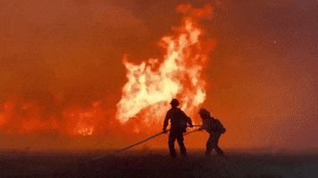 Fire Fireworks GIF by Storyful