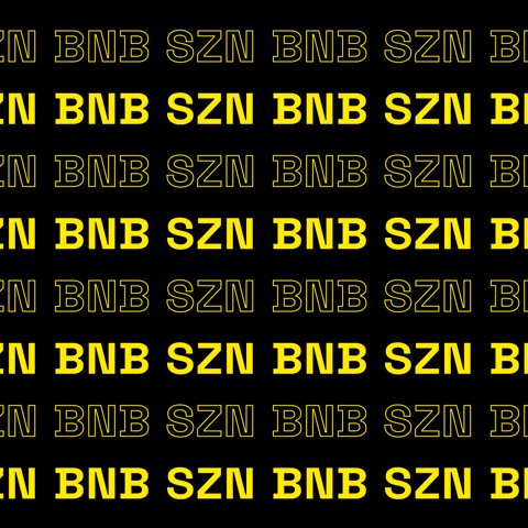 BNB Chain GIF