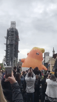Trump Baby 'Blimp' Takes to the Air in Westminster