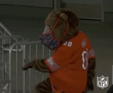 staley da bear plush