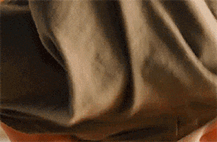 lady gaga GIF