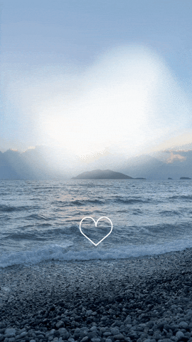 GIF by Learner Circle