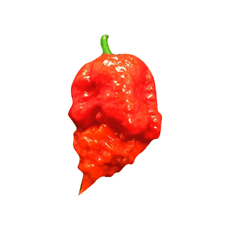Pepper Merchant Sticker
