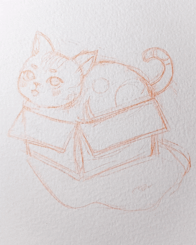 Catinbox GIF