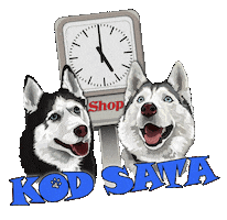 Kod Sata Sticker