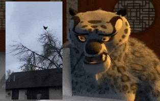 Tai Lung Chicken GIF