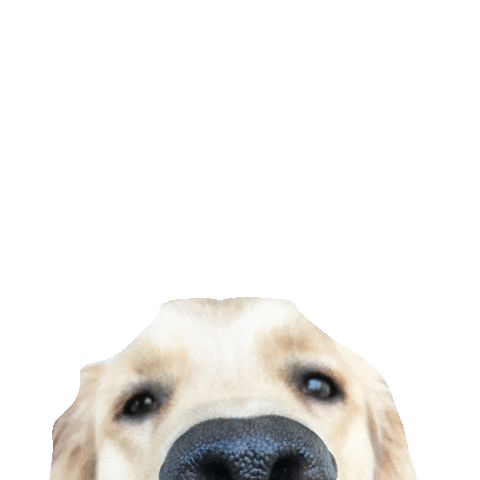 Sticker by Waggin’ Tails