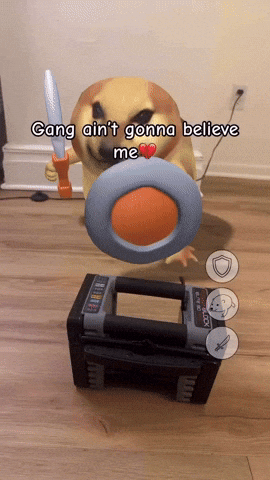 Doge Calisthenics GIF