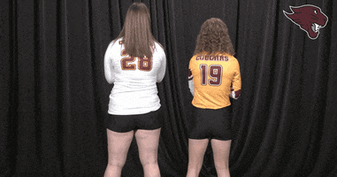Volleyball GIF by CUCougars