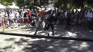 lupus sword ko hmb GIF